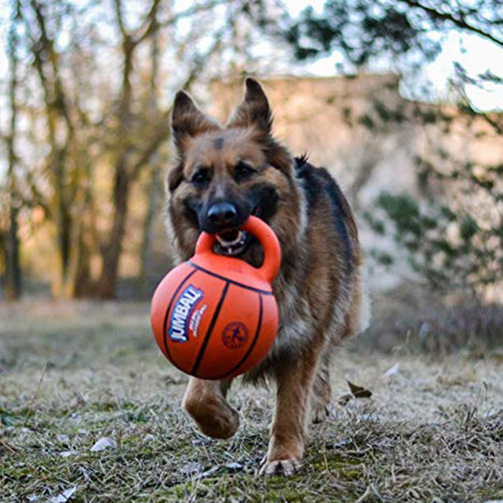GiGwi Jumball Dog Toy - Basket Ball (with Rubber Handle) - Orange - Heads Up For Tails