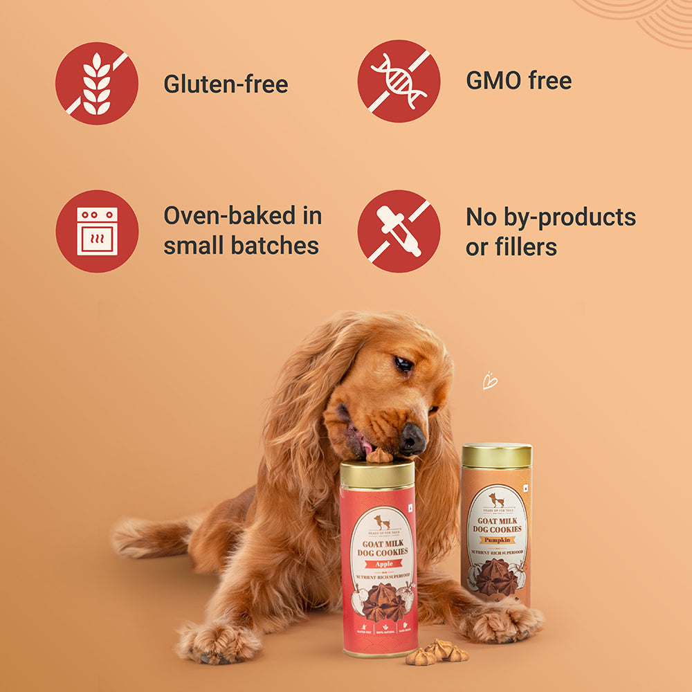 HUFT Goat Milk Dog Cookie Combo - Apple & Pumpkin - 200g Each - Heads Up For Tails
