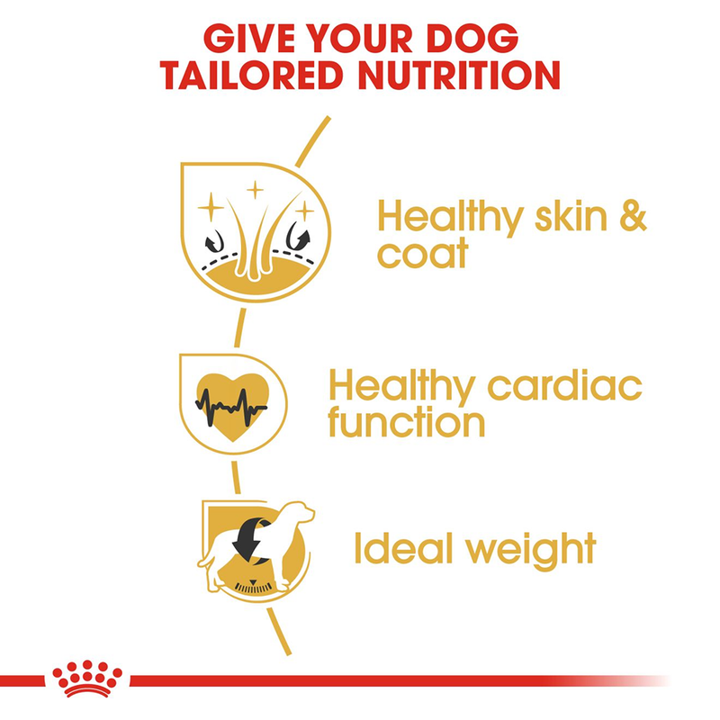 Royal Canin Golden Retriever Adult Dry Dog Food - Heads Up For Tails