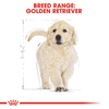Royal Canin Golden Retriever Junior Dry Puppy Food - Heads Up For Tails