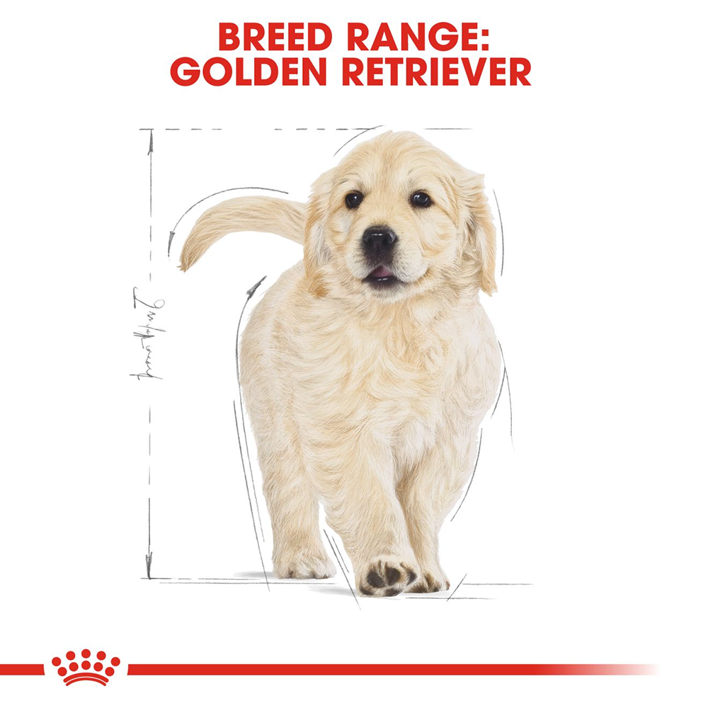 Royal Canin Golden Retriever Junior Dry Puppy Food - Heads Up For Tails