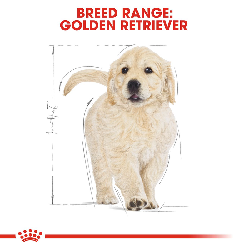 Royal Canin Golden Retriever Junior Dry Puppy Food - Heads Up For Tails