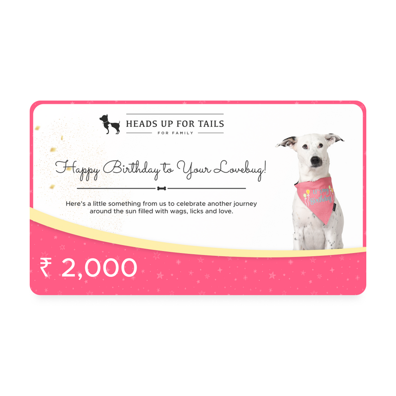 HUFT Happy Birthday To Your Lovebug Gift Card5