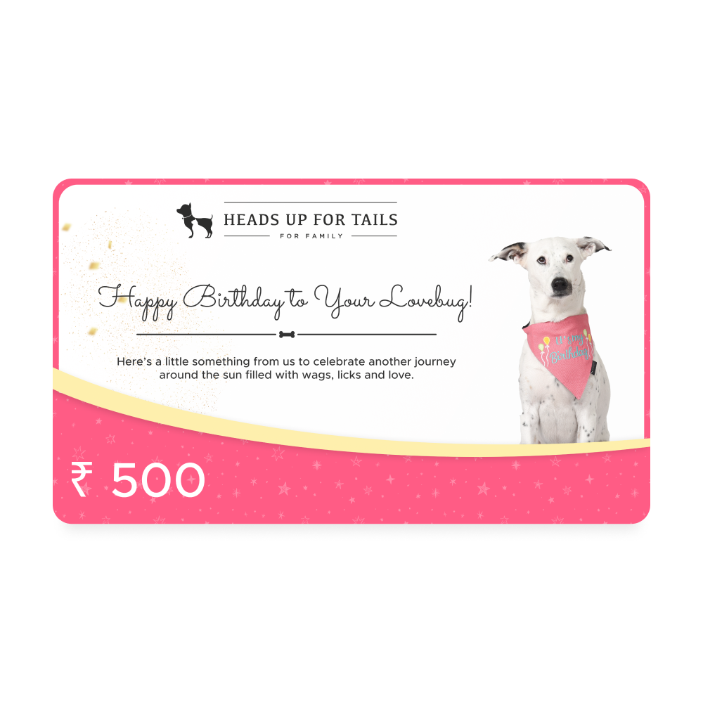 HUFT Happy Birthday To Your Lovebug Gift Card3