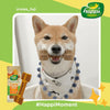 Happi Doggy Vegetarian Dental Chew (Digestive Support) - Pumpkin & Mountain Yam (Singles) - 25 g-8