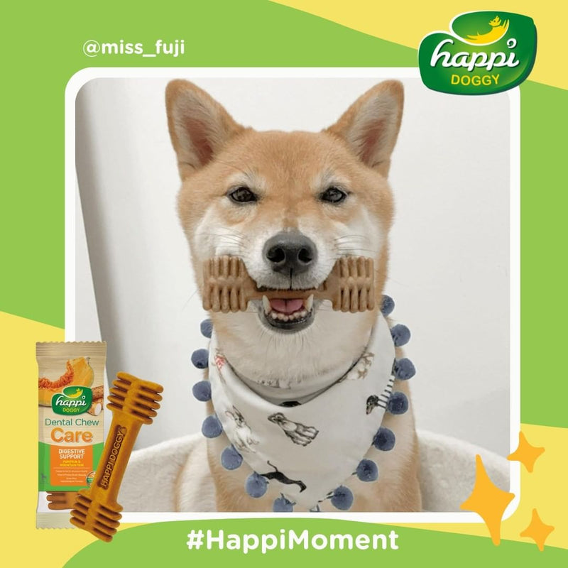 Happi Doggy Vegetarian Dental Chew (Digestive Support) - Pumpkin & Mountain Yam (Singles) - 25 g-8