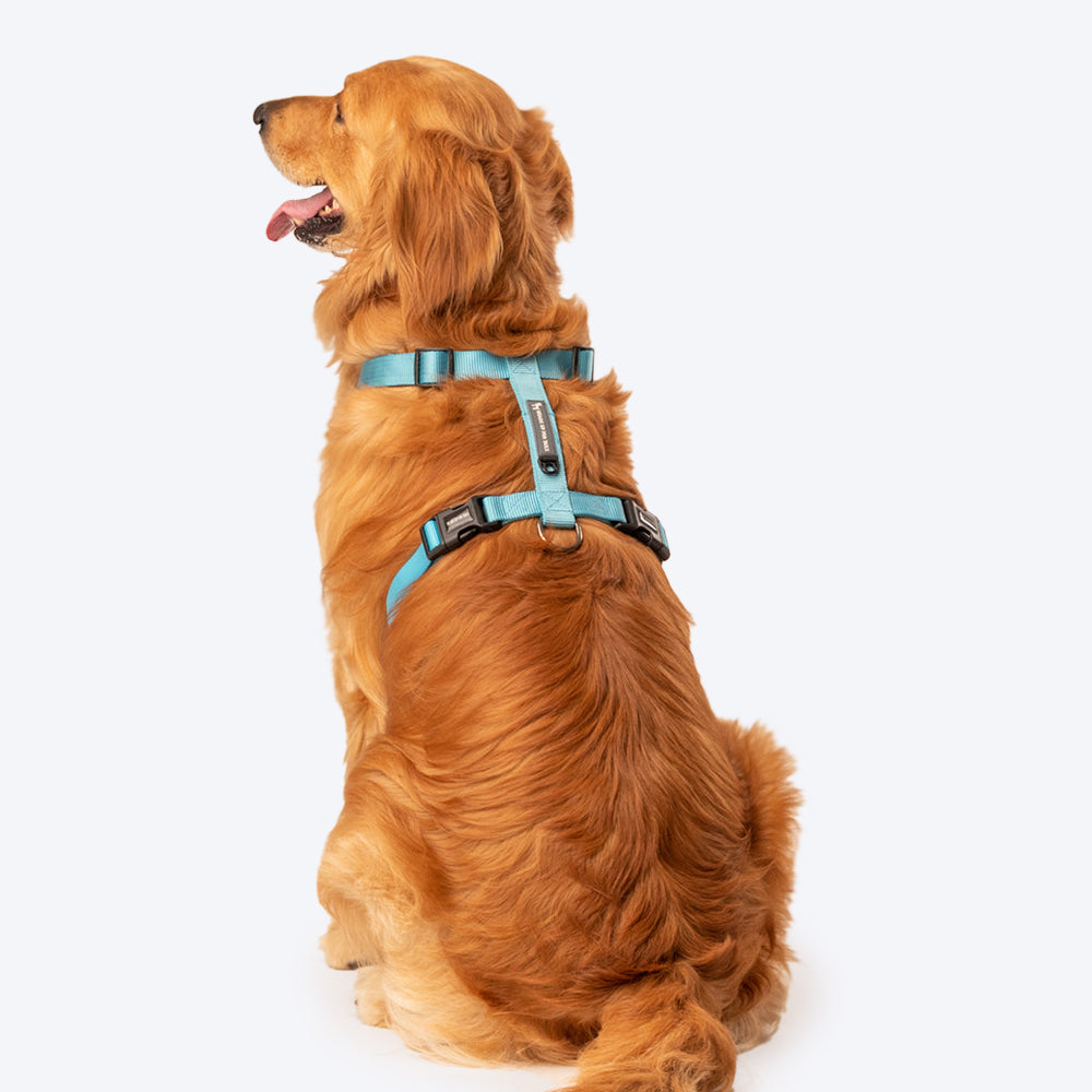 HUFT Essentials Nylon Dog H-Harness - Aqua Blue