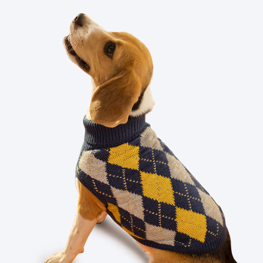 HUFT Argyle Dog Sweater - Navy - Heads Up For Tails