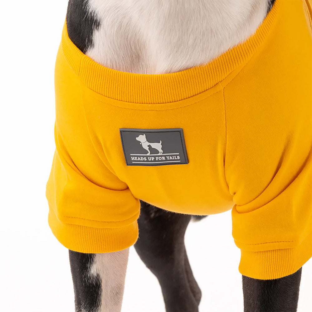HUFT Best Dog Ever Pet Sweatshirt - Yellow - Heads Up For Tails