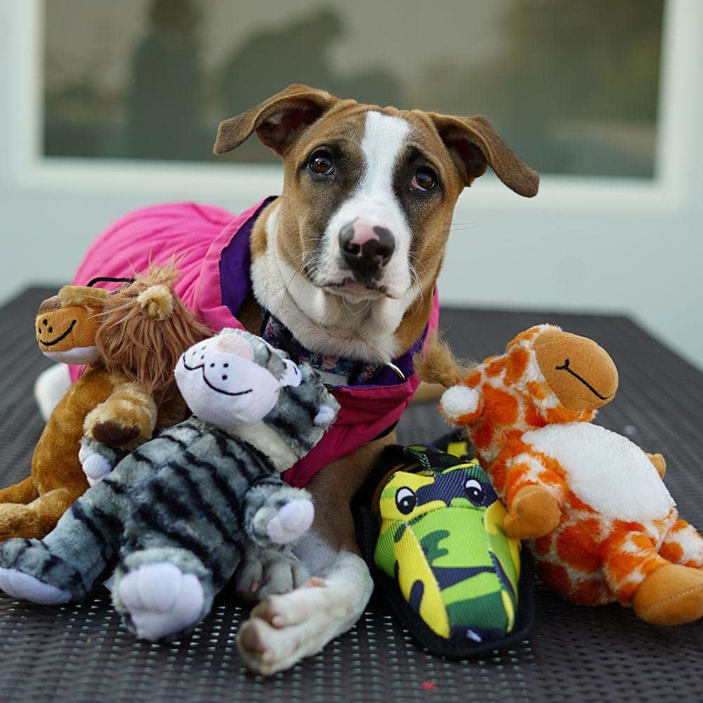 HUFT Big Buddy Collection Plush Dog Toy - Patches The Giraffe - Heads Up For Tails