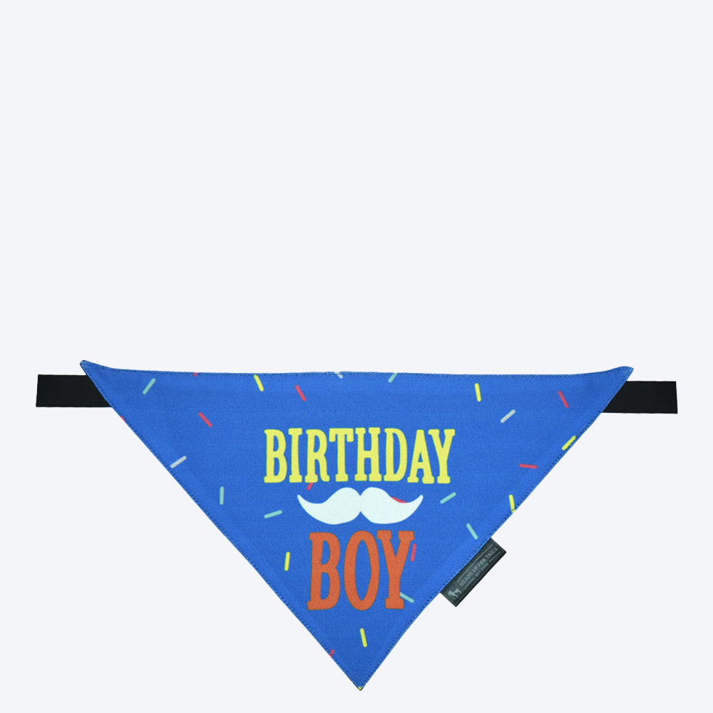 HUFT Birthday Boy Dog Bandana - Heads Up For Tails