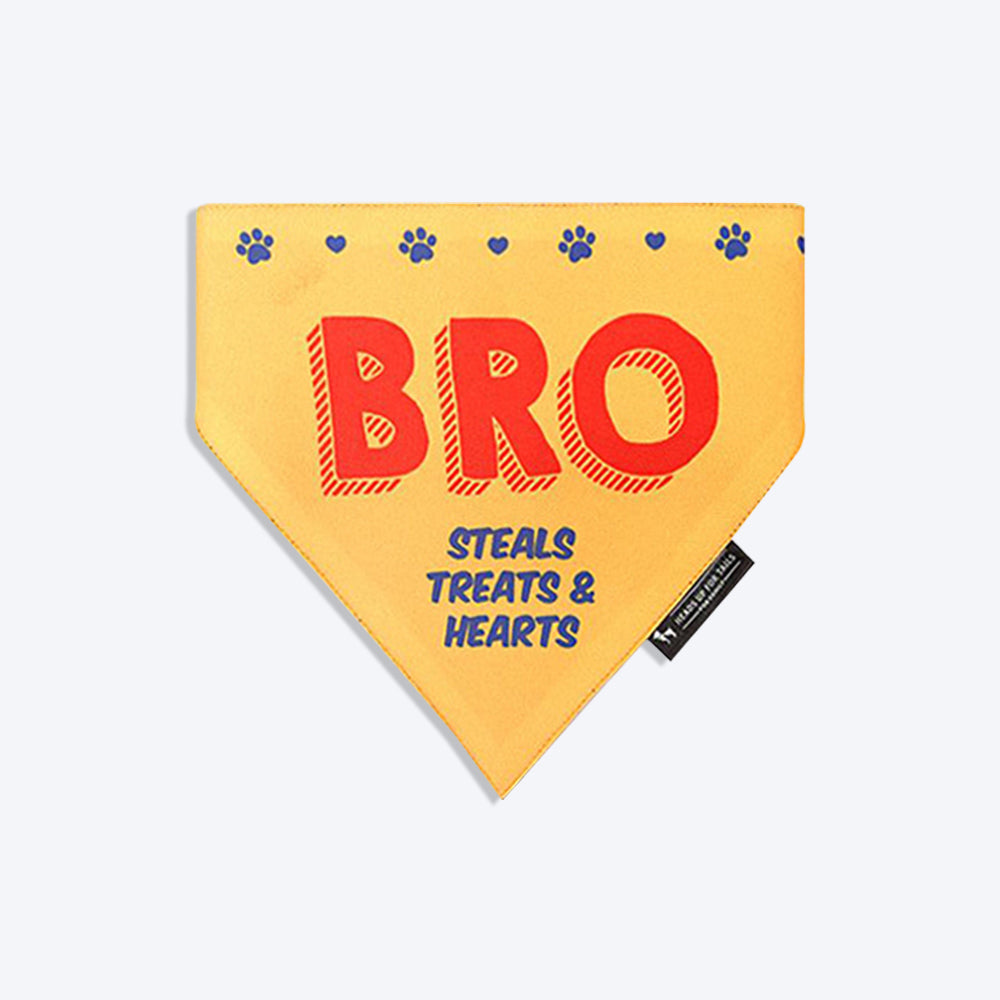 HUFT Bro - Steals Treats & Hearts Dog Bandana - Heads Up For Tails