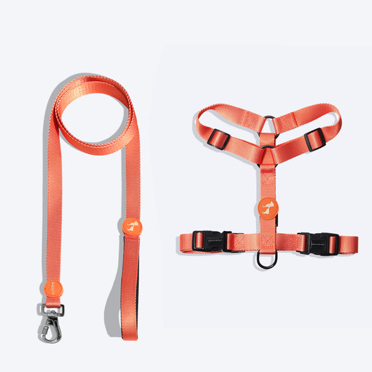 HUFT Classic H Harness And Leash Set - Orange - Heads Up For Tails