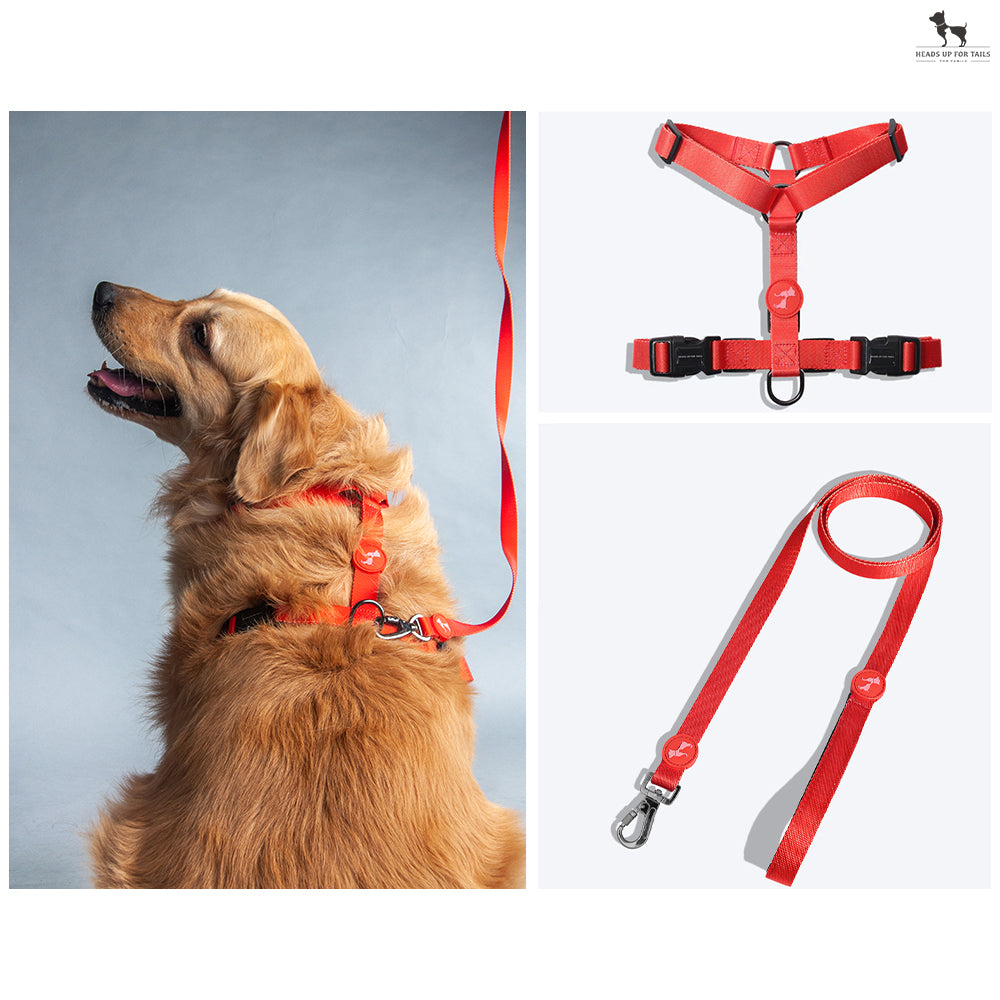 HUFT Classic H Harness And Leash Set - Red - Heads Up For Tails
