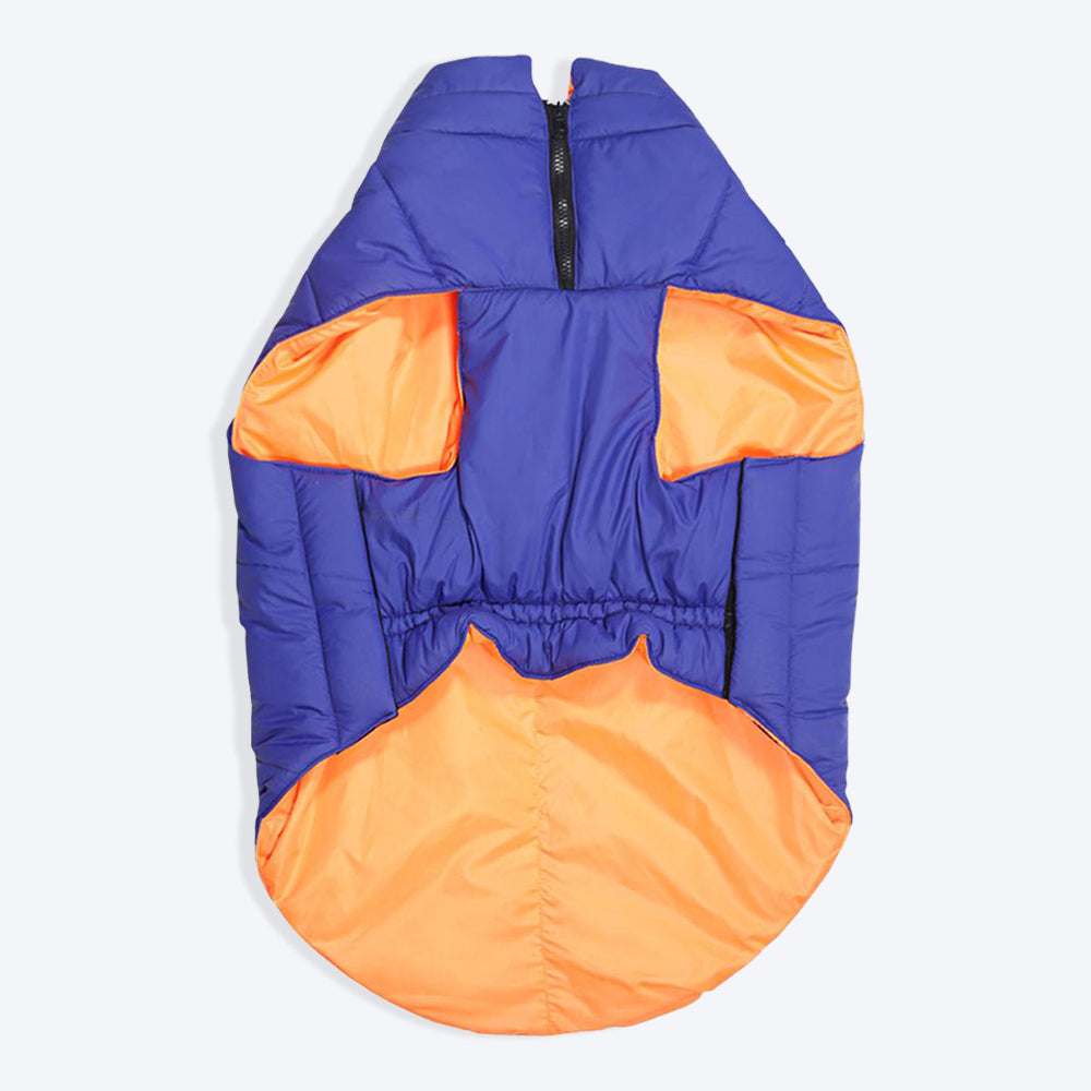 HUFT Cozy Pupper Reversible Dog Jacket - Blue/Orange4