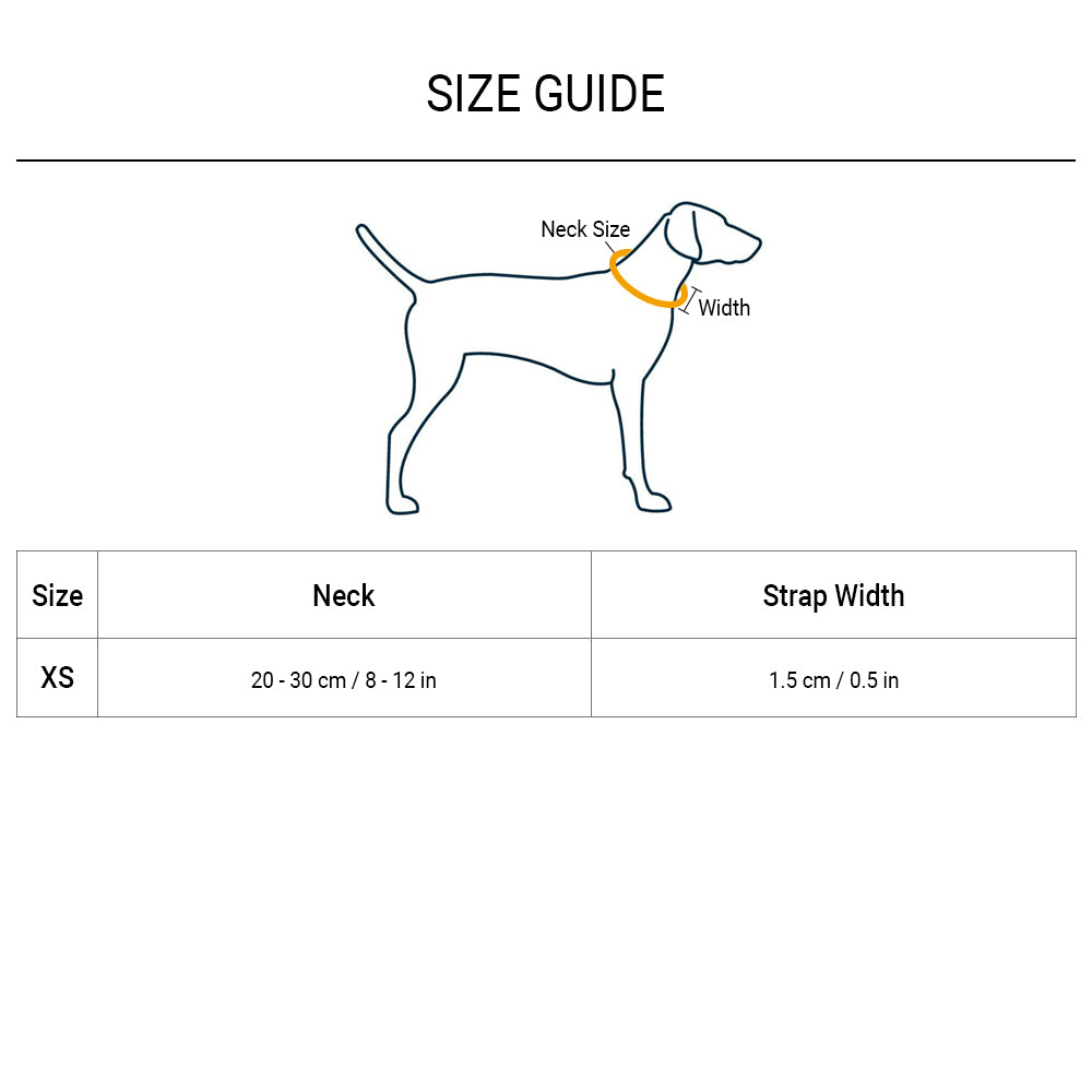 HUFT Essentials Nylon Puppy Collar - Orange - Heads Up For Tails