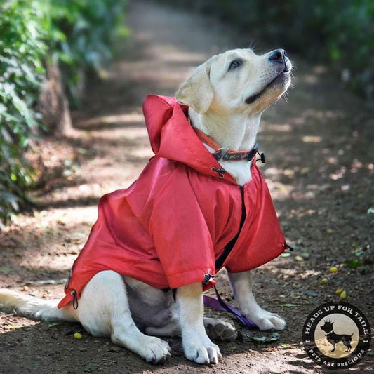 HUFT Rainy Day Dog Raincoat - Red - Heads Up For Tails
