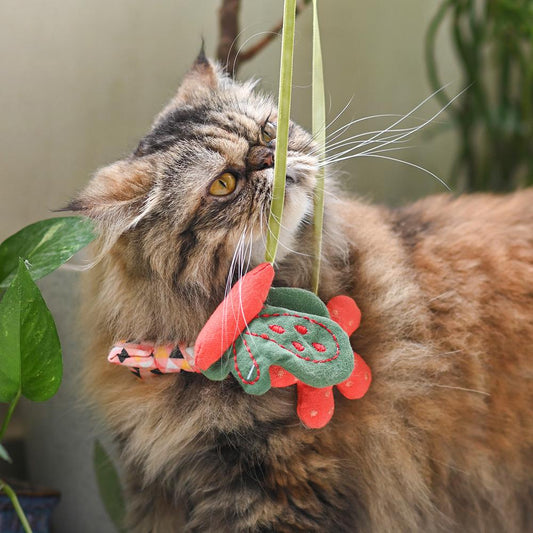 HUFT Garden Party Cat Wand Toy - Butterfly - Heads Up For Tails