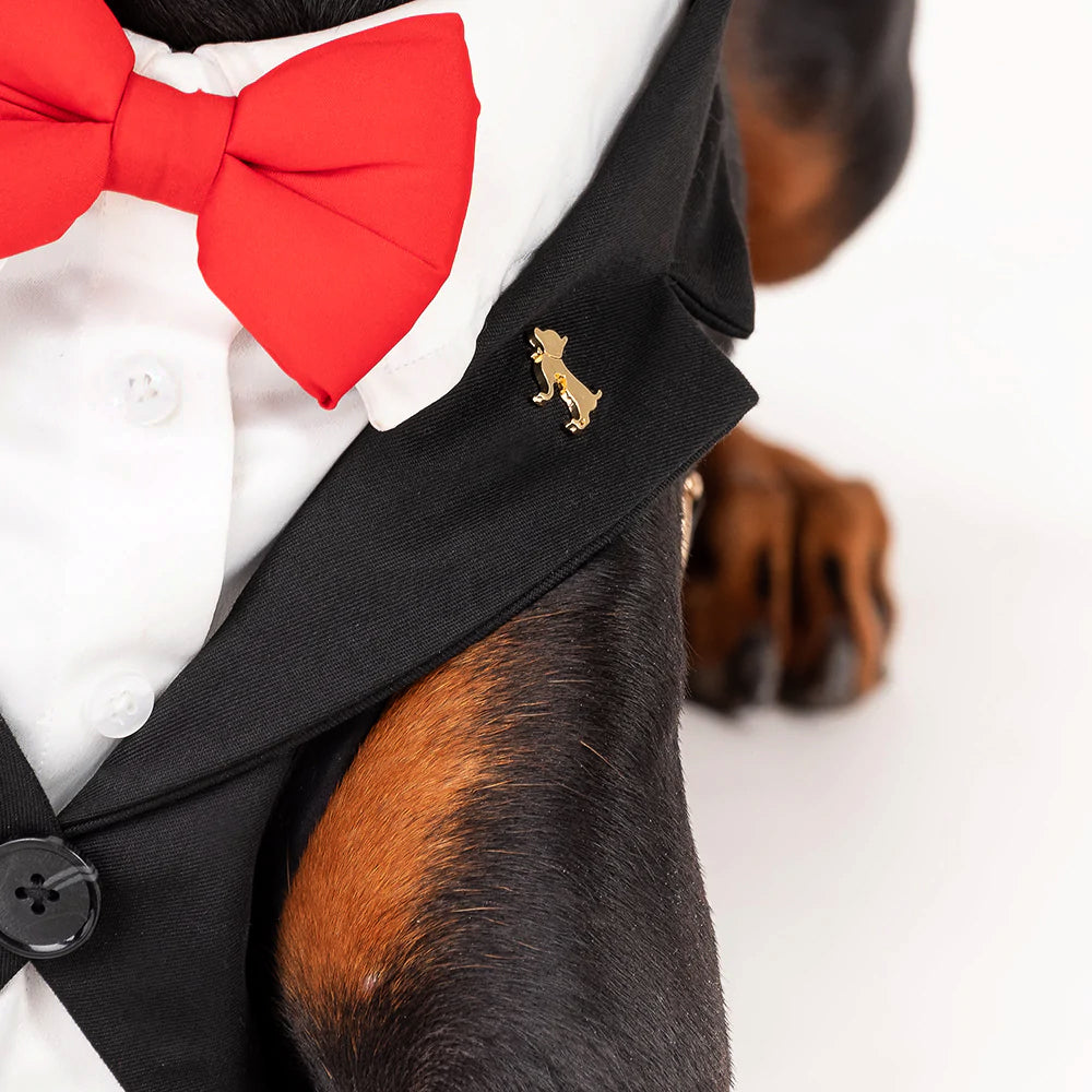 HUFT Made To Order Black Tuxedo Harness - Heads Up For Tails