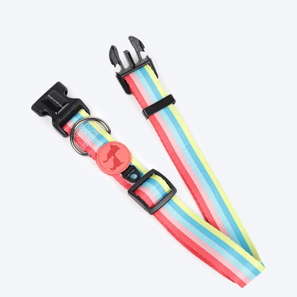 HUFT Pride Rainbow Popsicle Dog Collar - Heads Up For Tails
