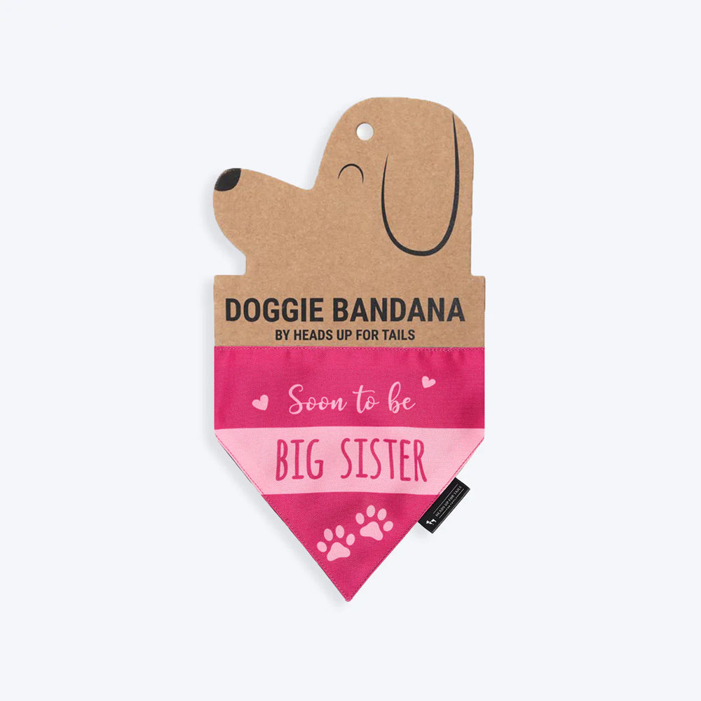 HUFT Soon To Be Big Sister Dog Bandana - Heads Up For Tails