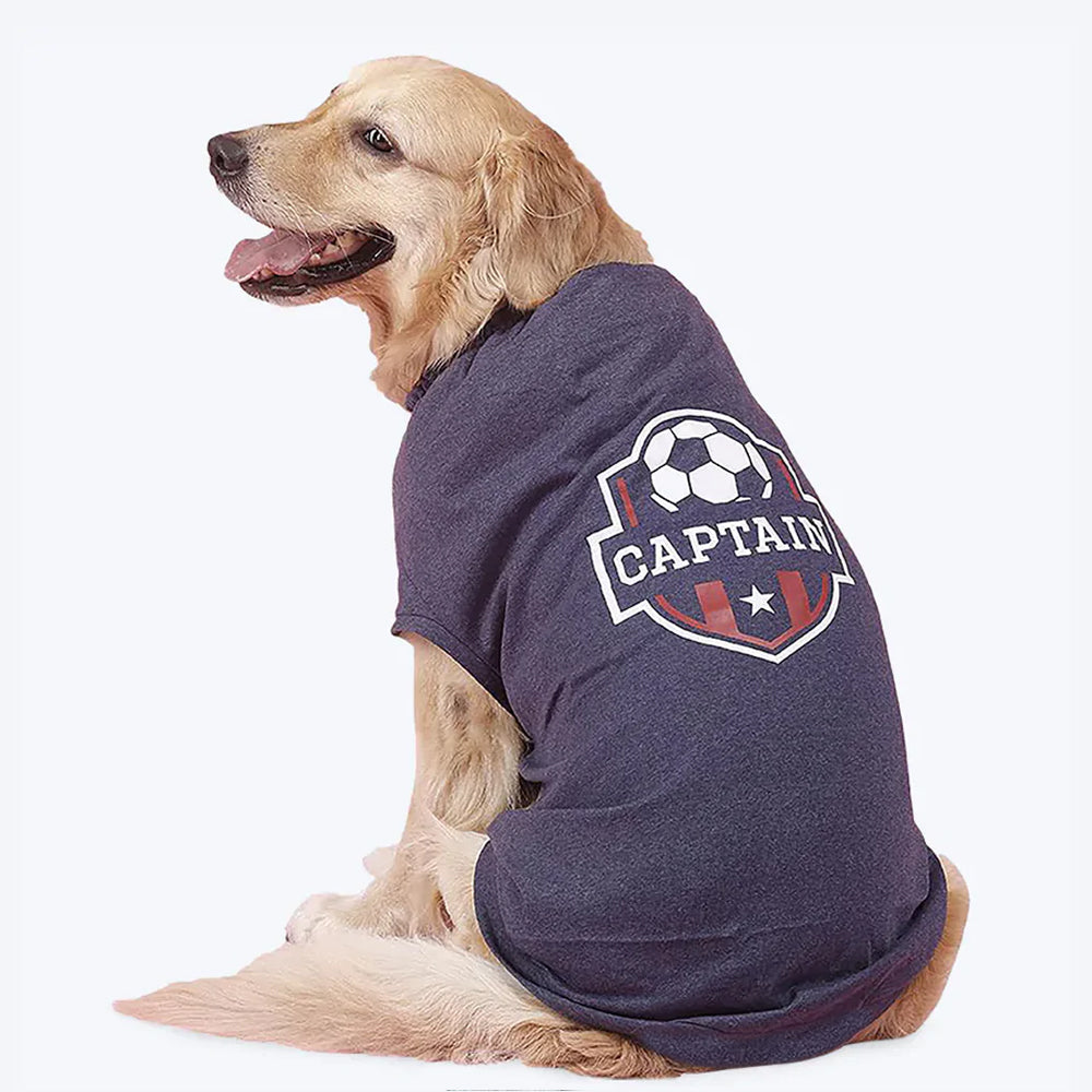 New England Patriots Dog Tee Shirt