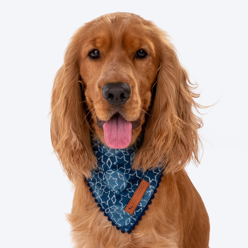 HUFT The Indian Collective Tara Sitara Dog Bandana - Indigo - Heads Up For Tails