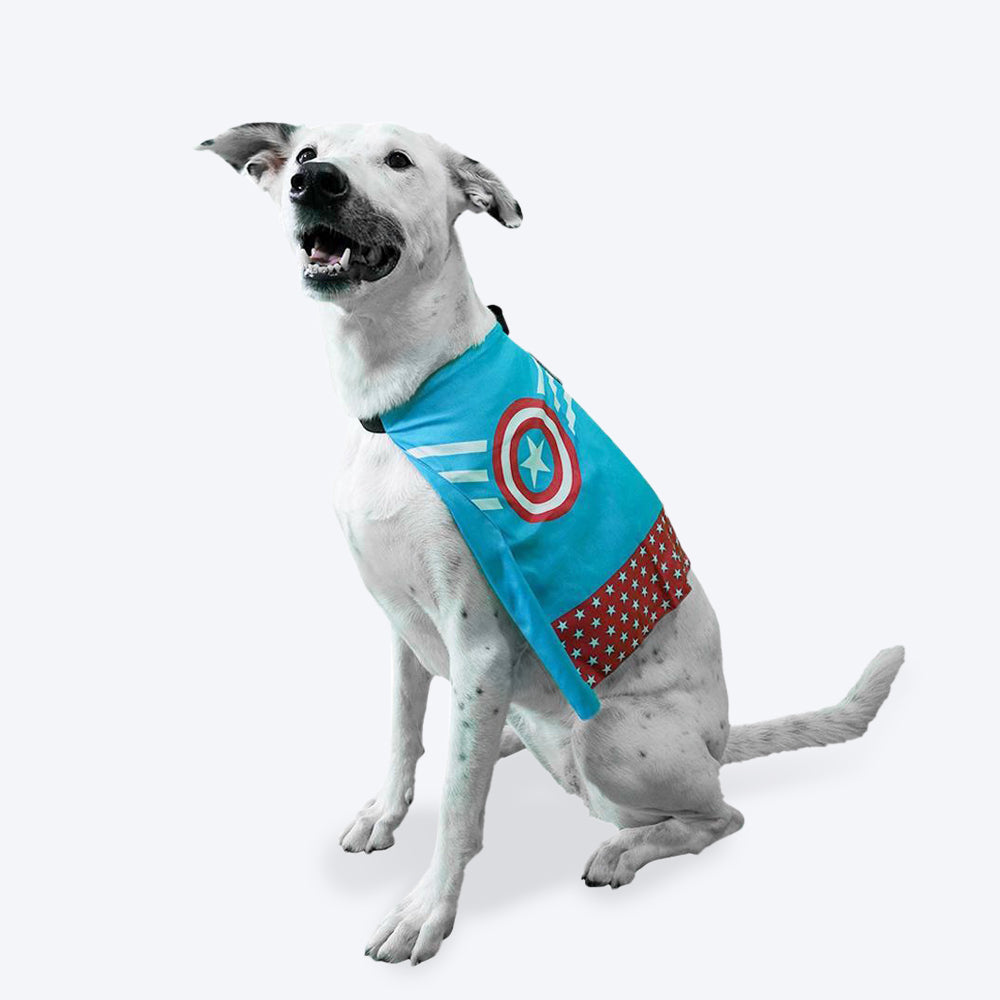 Petco marvel hotsell dog toys