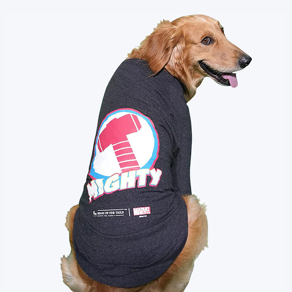 Louis Vuitton Dog Clothes Designer, Pet products Fashion Brown Designer  Pet Dog Clothes Jacket Cotton
