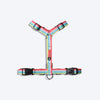 HUFT Pride Rainbow Popsicle Dog H-Harness - Heads Up For Tails