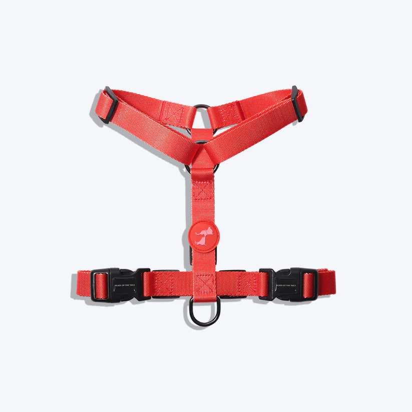 HUFT Classic H Harness And Leash Set - Red - Heads Up For Tails