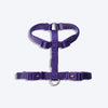 Trixie Premium Nylon H-Harness For Dogs - Violet - Heads Up For Tails