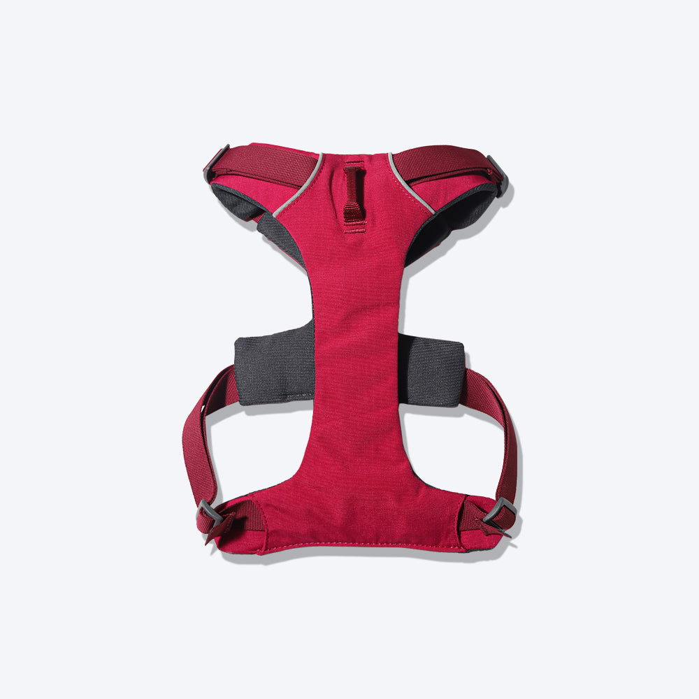 Ruffwear Front Range Dog Harness - Red Sumac - Heads Up For Tails