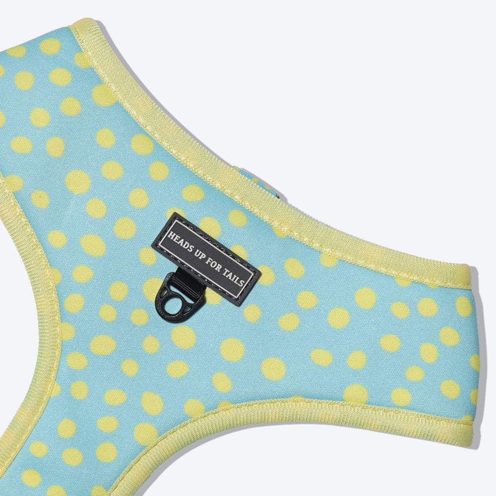 HUFT Daisy Bell Reversible Dog Harness - Sky Blue - Heads Up For Tails