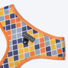 HUFT Colour Chaser Reversible Mesh Dog Harness - Multicolor - Heads Up For Tails