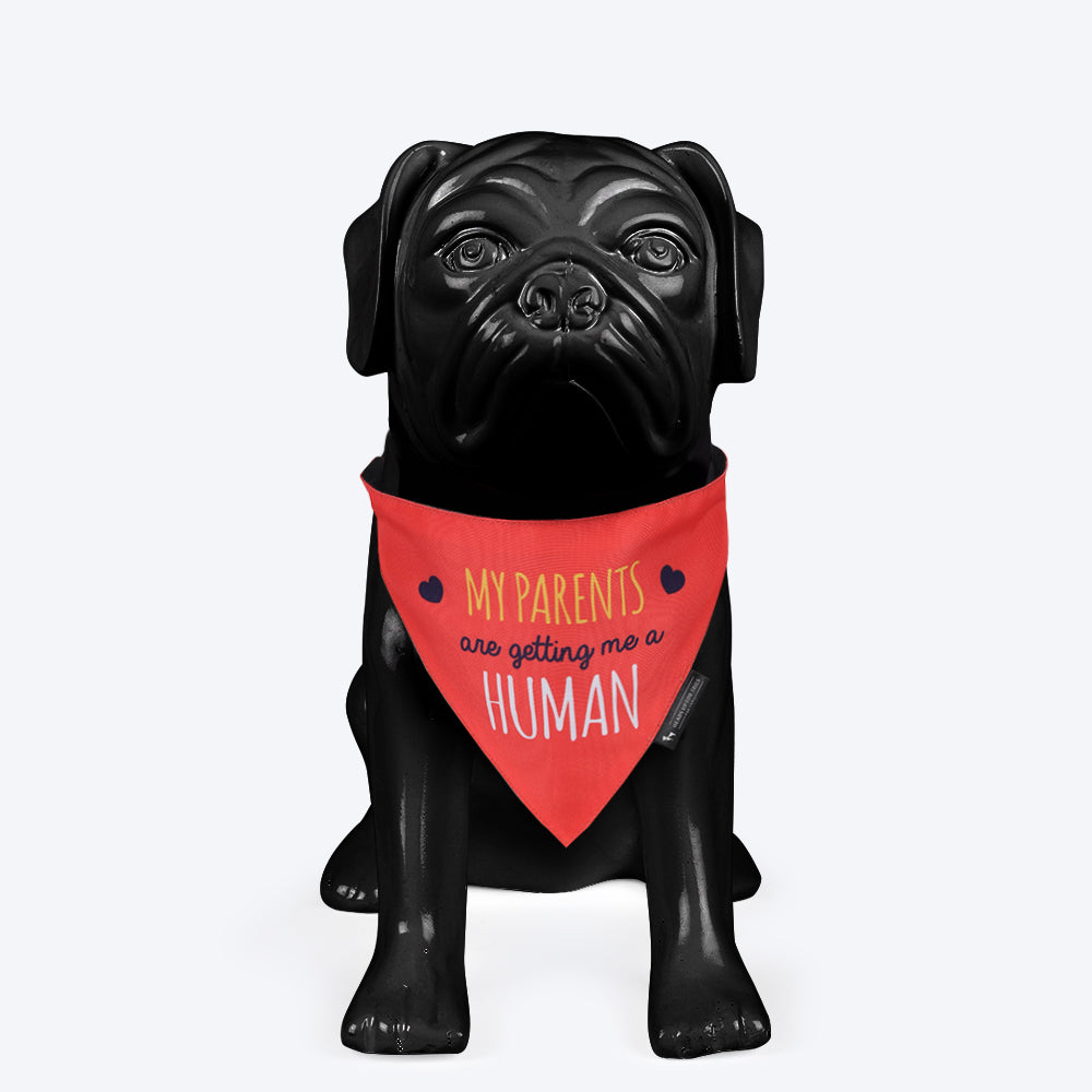 HUFT Baby Announcement Dog Bandana - Heads Up For Tails
