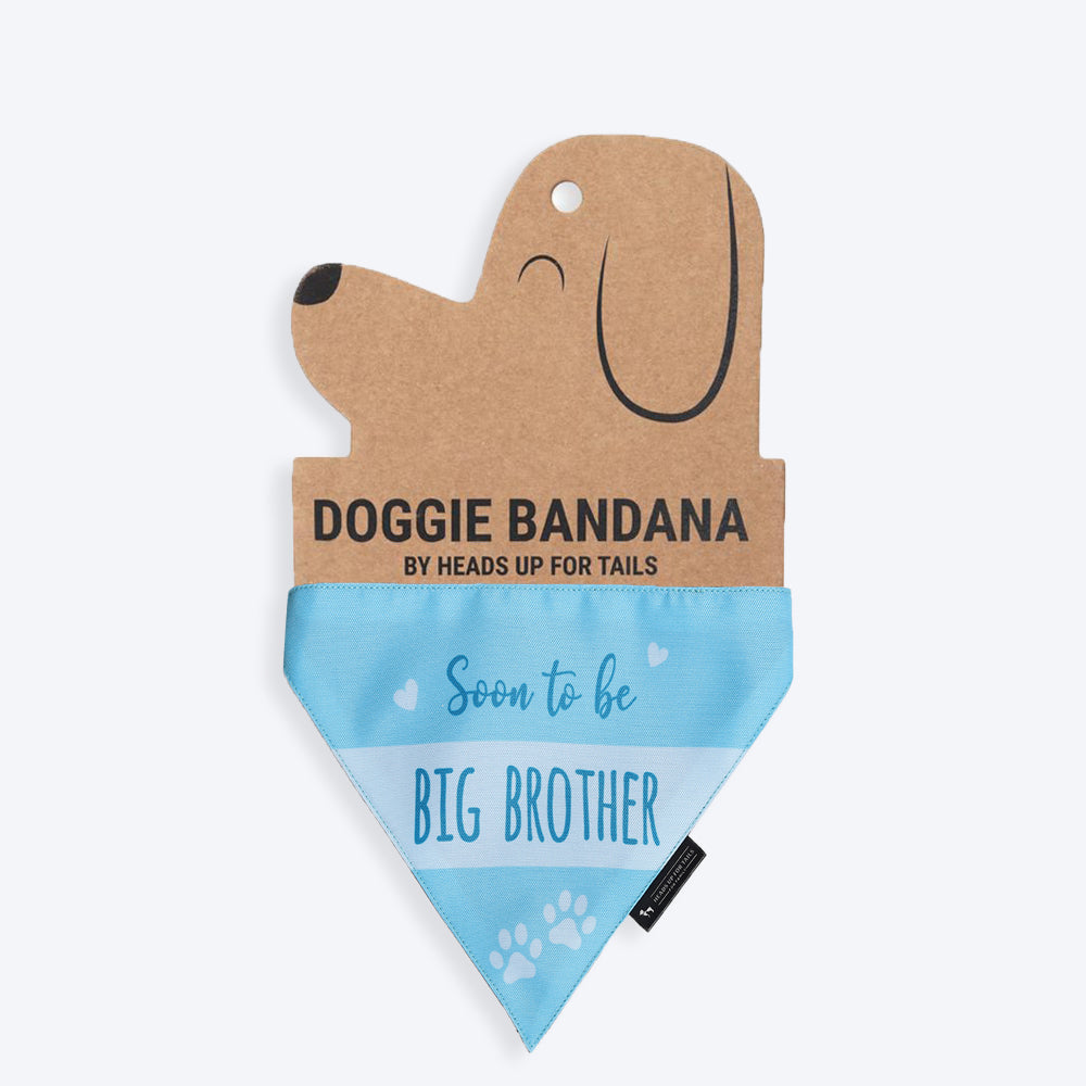 HUFT Soon To Be Big Brother Dog Bandana - Heads Up For Tails