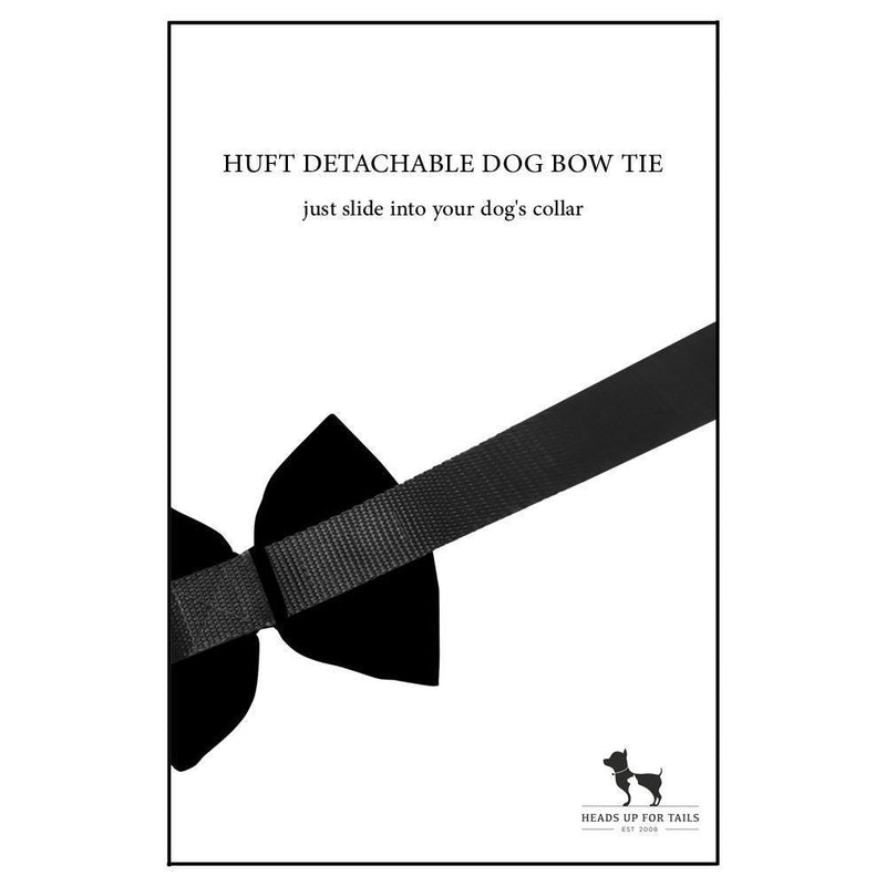 HUFT Personalised Luxe Velvet Dog Bow Tie - Peacock Blue-6