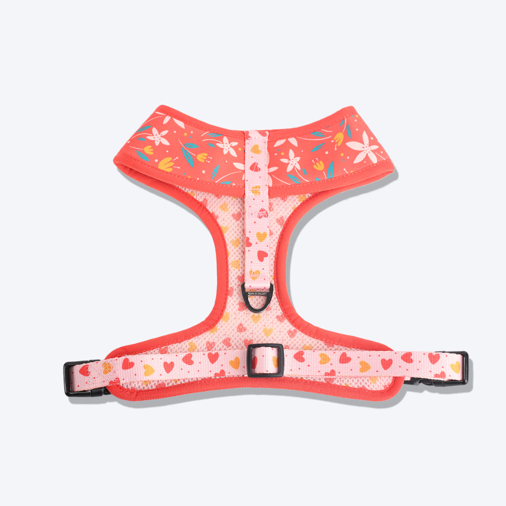 HUFT Summer Rapture Reversible Printed Harness - Heads Up For Tails