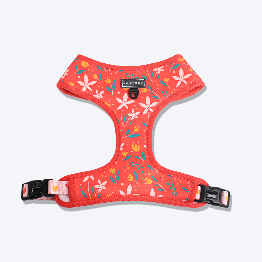 HUFT Summer Rapture Reversible Printed Harness - Heads Up For Tails