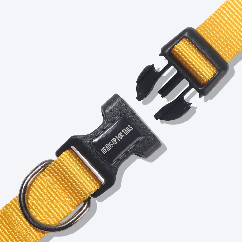 HUFT Essentials Nylon Dog Collar - Yellow - Heads Up For Tails