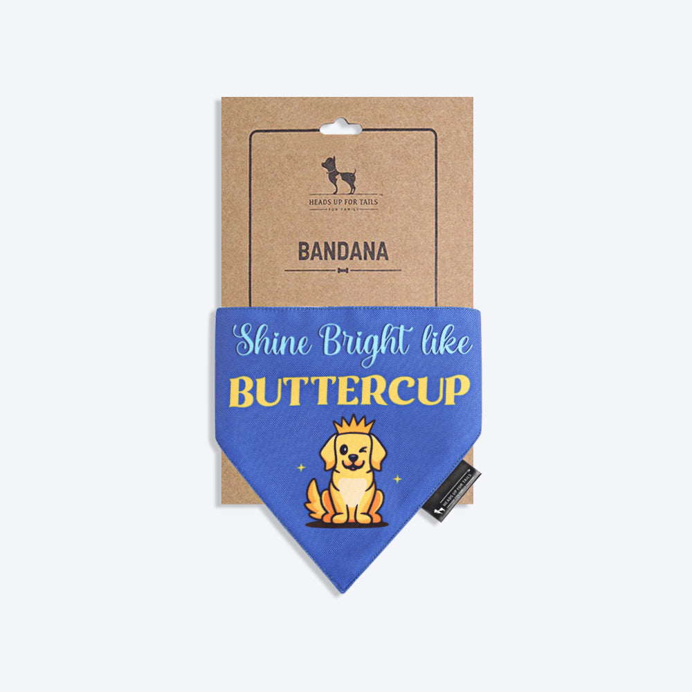 HUFT Personalised Shine Bright Like (Pet¢'¬€¦¡¬'¬¦¡¬'¬€¦¡¬'¬¦¾¢s Name) Bandana - Heads Up For Tails