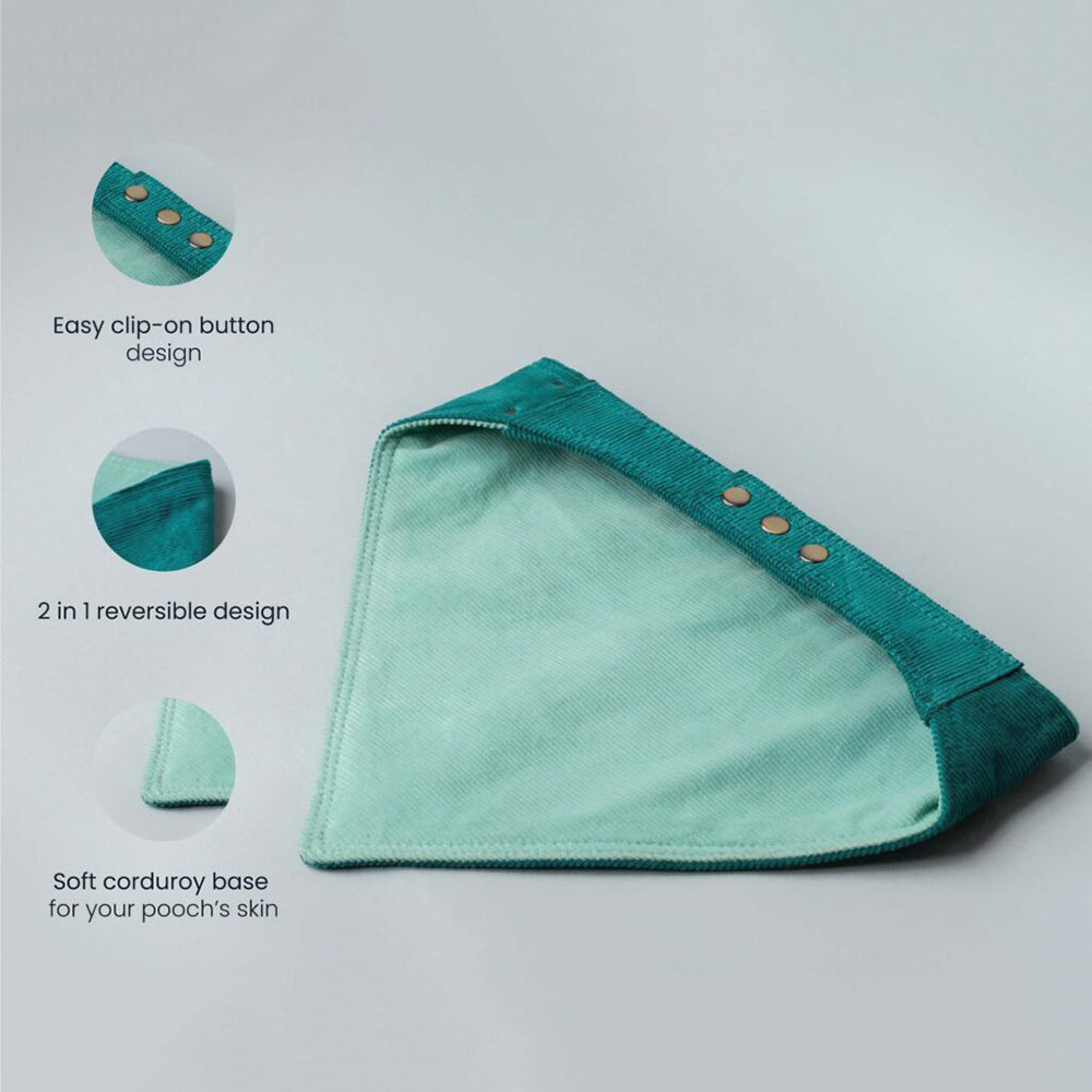 IndieGood 2 in 1 Bandana For Dog - Blue - M/L-5