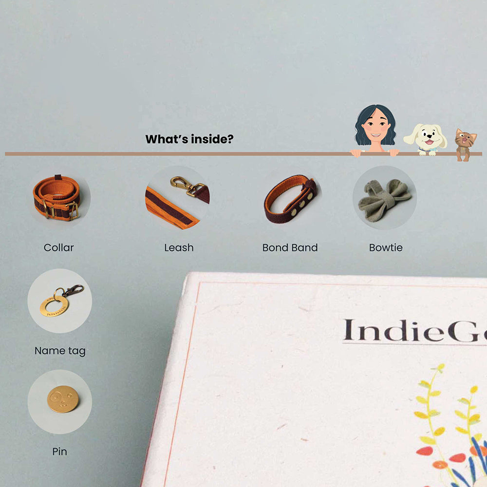 IndieGood Curated Gifting Kit - Brown - Heads Up For Tails