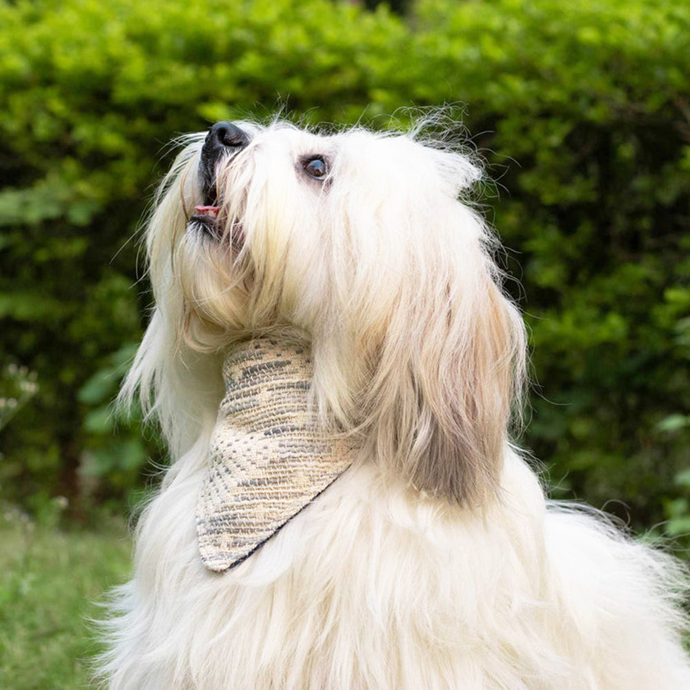 IndieGood Handloom 2 in 1 Bandana For Dog - Soft Weaves - M/L - Heads Up For Tails