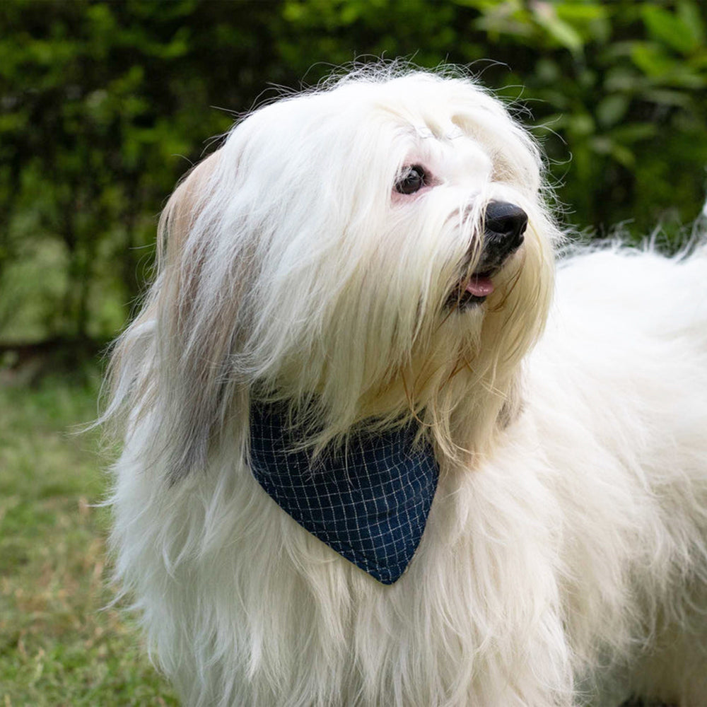 IndieGood Handloom 2 in 1 Bandana For Dog - Soft Weaves - M/L - Heads Up For Tails