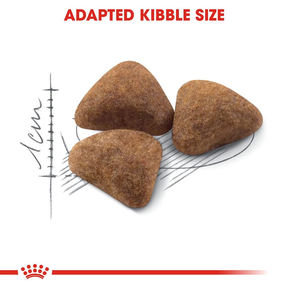 Royal Canin Home Life Indoor 27 Dry Cat Food - 2 kg - Heads Up For Tails