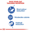Royal Canin Home Life Indoor 27 Dry Cat Food - 2 kg - Heads Up For Tails