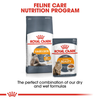 Royal Canin Hair & Skin Care In Gravy Adult Cat Wet Food - 85 g_08