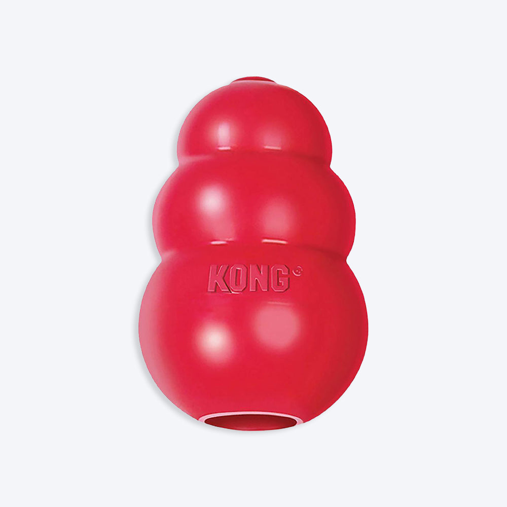 Kong Classic Dog Toys Online In India